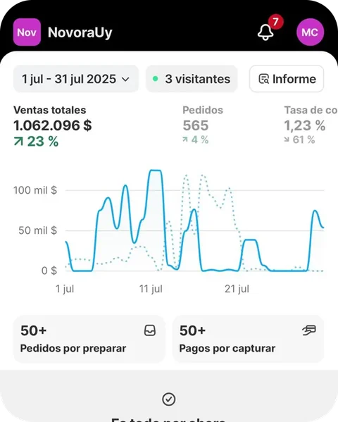 Panel de ventas de la tienda de Manu Pons